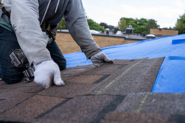 Best Roof Restoration Services  in Pleasant Run, OH